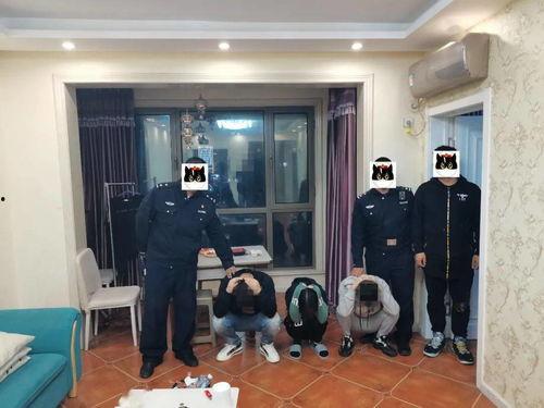 娱乐圈爆料流浪狗被抓了,流浪狗被抓，背后真相引人关注  第3张